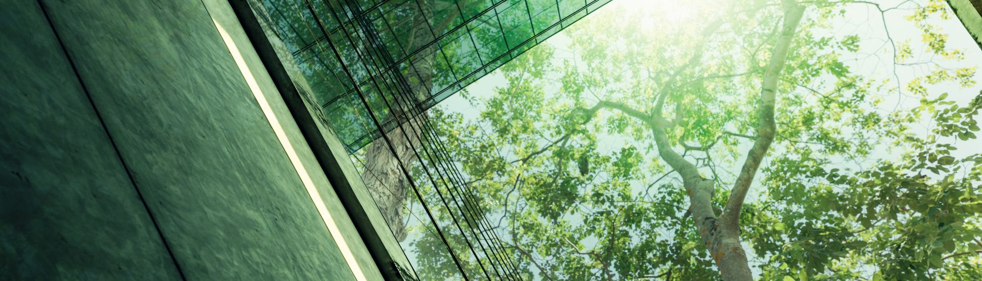 Os indicadores de sustentabilidade avaliam o desempenho ambiental, econômico e social de projetos.