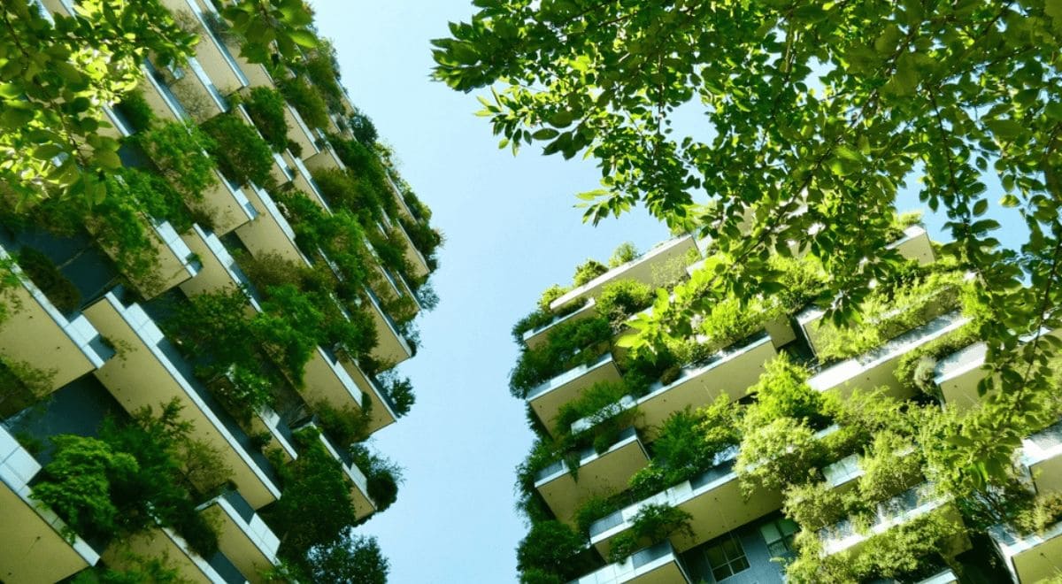 Edifícios saudáveis Edifícios saudáveis